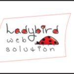 Ladybird Web Solution hiring freshers for  Software Engineers – Freshers apply fast